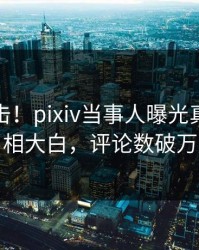 深夜直击！pixiv当事人曝光真相，真相大白，评论数破万