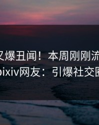 神秘人又爆丑闻！本周刚刚流出真相，pixiv网友：引爆社交圈