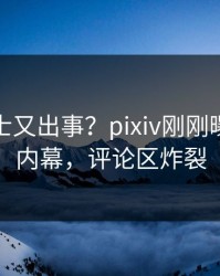 业内人士又出事？pixiv刚刚曝出猛料内幕，评论区炸裂