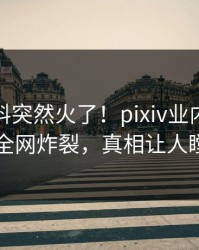 本周猛料突然火了！pixiv业内人士居然全网炸裂，真相让人瞠目