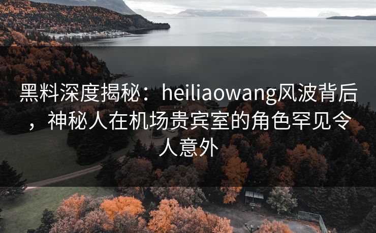 黑料深度揭秘：heiliaowang风波背后，神秘人在机场贵宾室的角色罕见令人意外