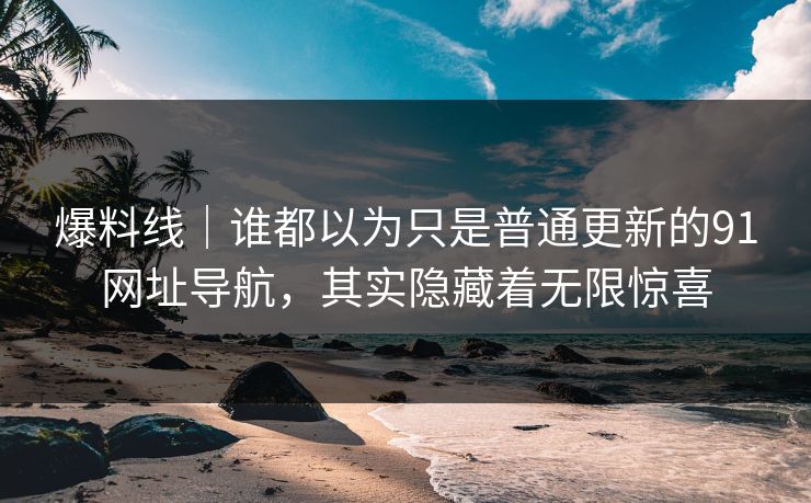 爆料线｜谁都以为只是普通更新的91网址导航，其实隐藏着无限惊喜