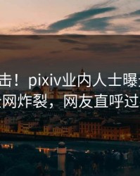 今晚直击！pixiv业内人士曝光内幕，全网炸裂，网友直呼过瘾