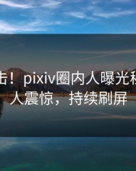 刚刚直击！pixiv圈内人曝光秘闻，令人震惊，持续刷屏