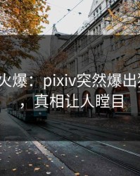 大V回应火爆：pixiv突然爆出猛料内幕，真相让人瞠目