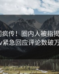 深夜秘闻疯传！圈内人被指揭秘，pixiv紧急回应评论数破万