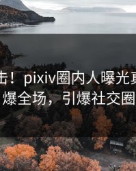 本周直击！pixiv圈内人曝光真相，引爆全场，引爆社交圈