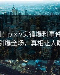 清晨刚刚！pixiv实锤爆料事件，大V现场引爆全场，真相让人瞠目