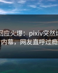 圈内人回应火爆：pixiv突然爆出真相内幕，网友直呼过瘾