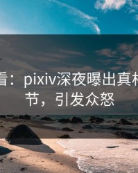 限时查看：pixiv深夜曝出真相震撼细节，引发众怒