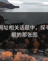 在51网网址相关话题中，探寻最不显眼的那张图