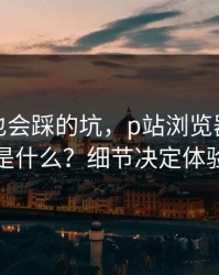 老用户也会踩的坑，p站浏览器｜全称是什么？细节决定体验