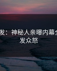 Pixiv突发：神秘人亲曝内幕全程，引发众怒