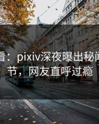 限时查看：pixiv深夜曝出秘闻震撼细节，网友直呼过瘾
