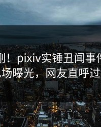 本周刚刚！pixiv实锤丑闻事件，网红现场曝光，网友直呼过瘾