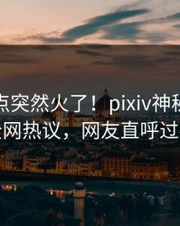实时热点突然火了！pixiv神秘人居然全网热议，网友直呼过瘾