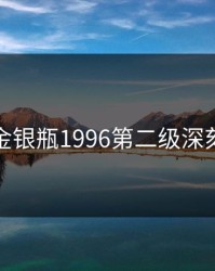 新版金银瓶1996第二级深刻主题