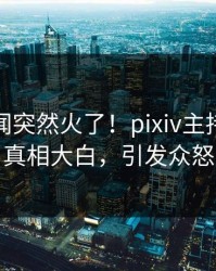 最新秘闻突然火了！pixiv主持人居然真相大白，引发众怒