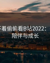 晚上睡不着偷偷看B站2022：夜幕下的陪伴与成长