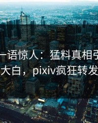 神秘人一语惊人：猛料真相引发真相大白，pixiv疯狂转发