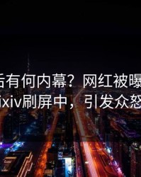 围观背后有何内幕？网红被曝花絮，pixiv刷屏中，引发众怒