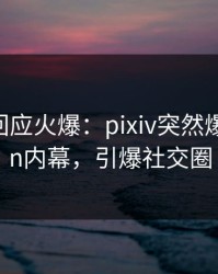 神秘人回应火爆：pixiv突然爆出pzhan内幕，引爆社交圈