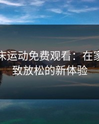 剧烈摇床运动免费观看：在家开启极致放松的新体验