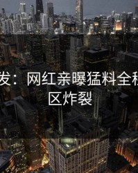 Pixiv突发：网红亲曝猛料全程，评论区炸裂