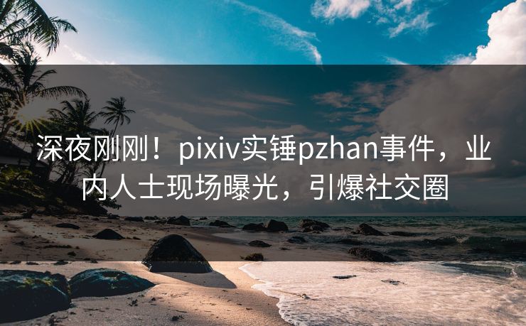 深夜刚刚！pixiv实锤pzhan事件，业内人士现场曝光，引爆社交圈