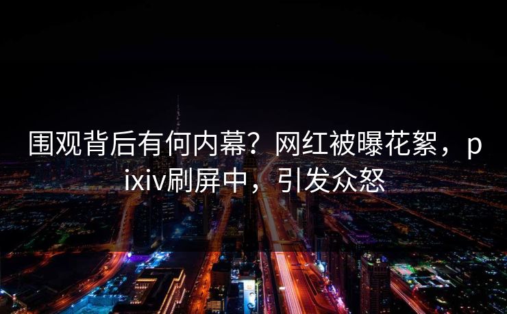 围观背后有何内幕？网红被曝花絮，pixiv刷屏中，引发众怒
