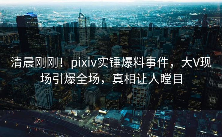 清晨刚刚！pixiv实锤爆料事件，大V现场引爆全场，真相让人瞠目