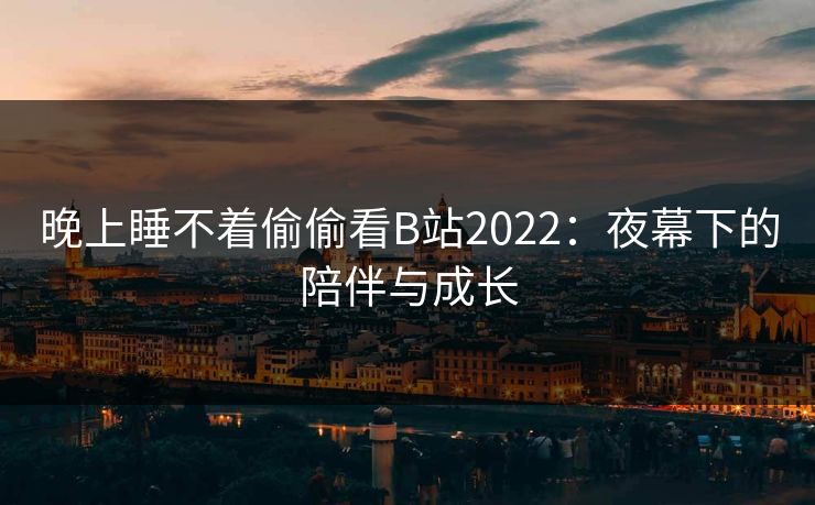 晚上睡不着偷偷看B站2022：夜幕下的陪伴与成长
