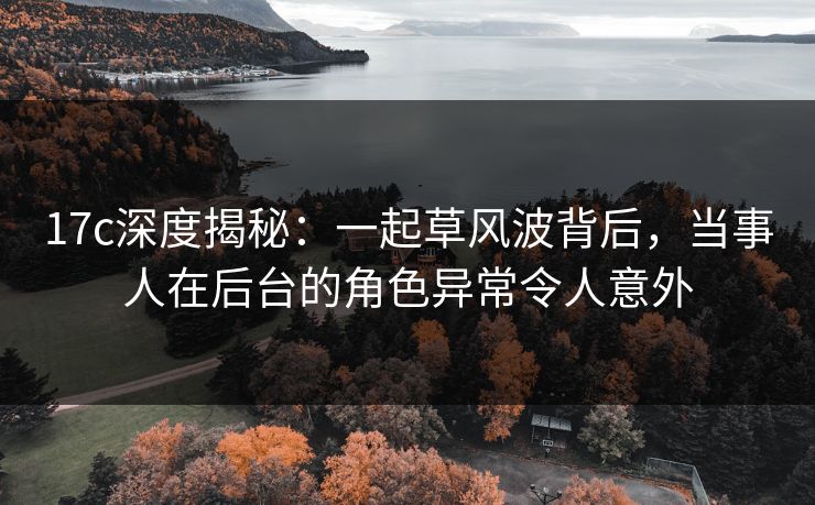 17c深度揭秘：一起草风波背后，当事人在后台的角色异常令人意外