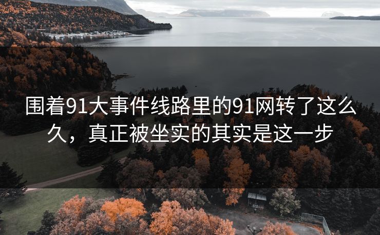 围着91大事件线路里的91网转了这么久，真正被坐实的其实是这一步